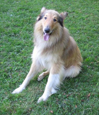 Fresko