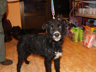Fabian