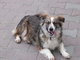 Lusia