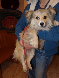 Cloe