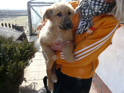 Zejda
