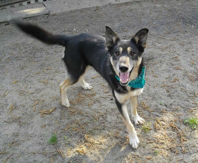 Aza