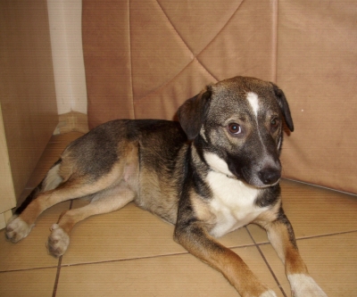 Mika